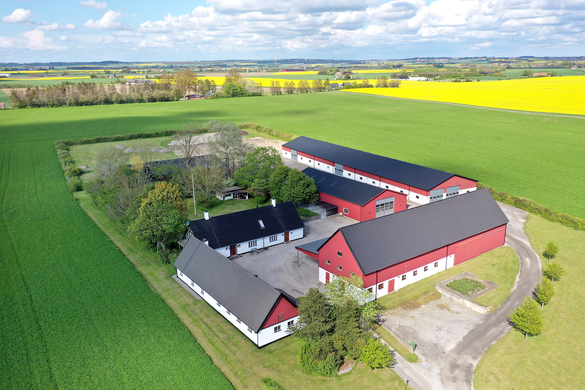 Main image